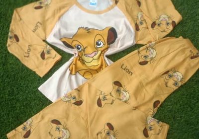 FB_IMG_1736011293174