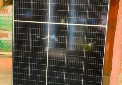 FB_IMG_1736259586468