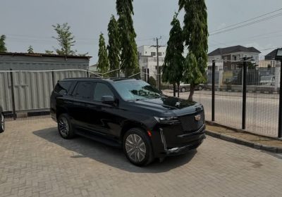 FB_IMG_1738055279786-1