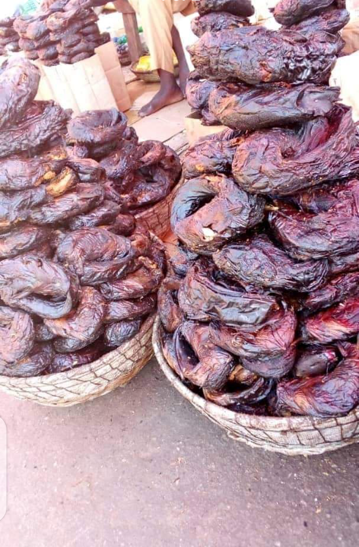 DRIED FISH