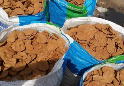 Screenshot_20250112-150056