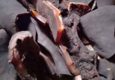 Screenshot_20250113-143737-1