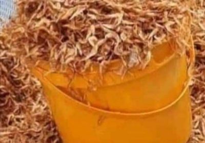 Screenshot_20250113-154946