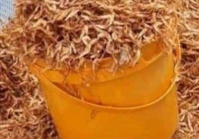 Screenshot_20250113-155856