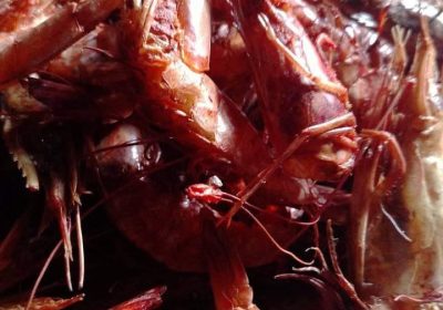 Screenshot_20250113-160914