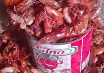 Screenshot_20250113-161543