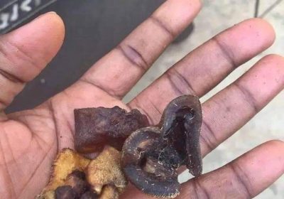 Screenshot_20250113-164448