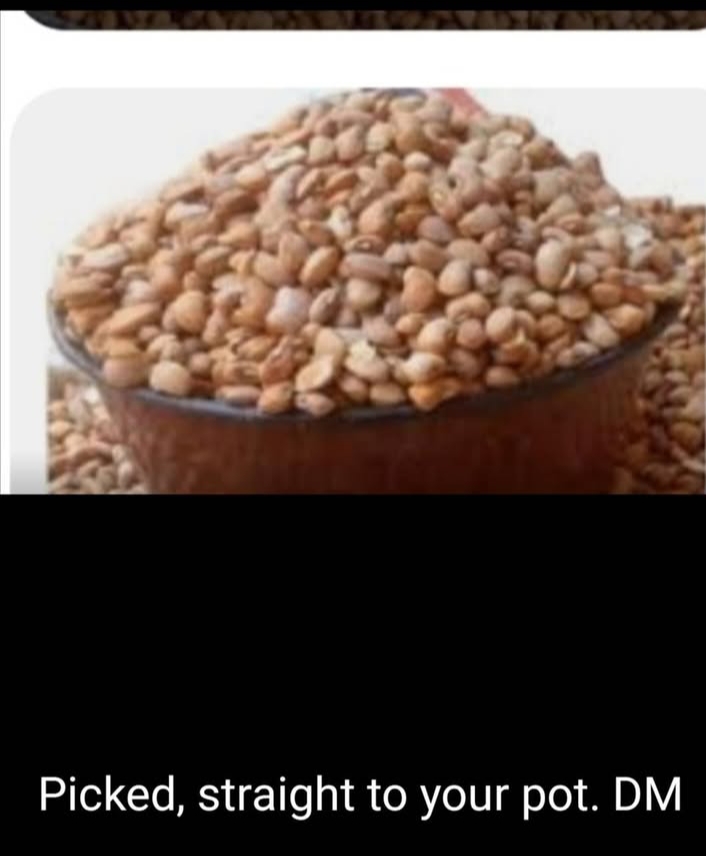 Picked Beans, no stone, no sharft.