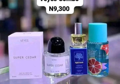 Screenshot_20250123-163031