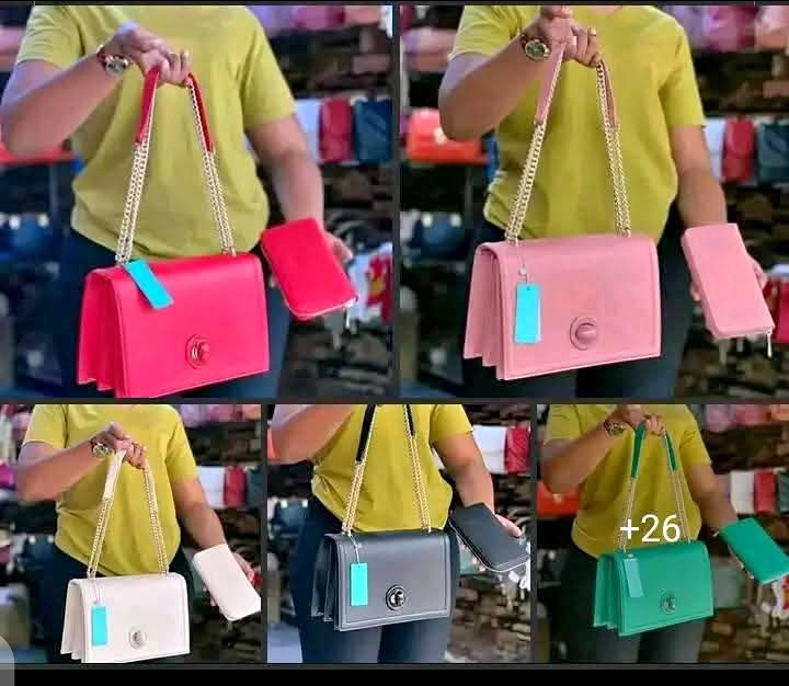 BAG WITH EXTRA PURSE