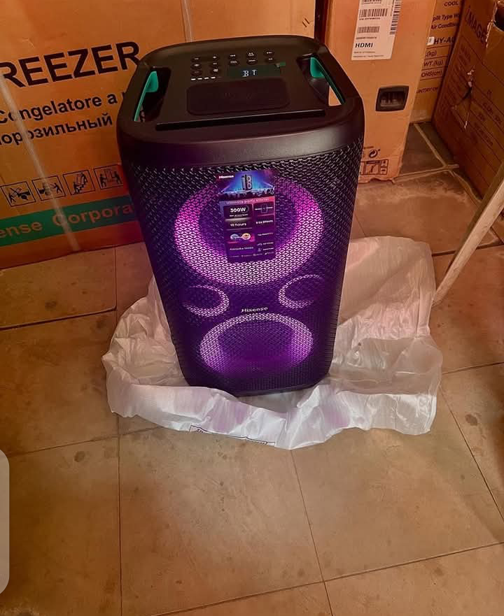 HISENSE 300W SPEAKER