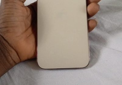 FB_IMG_1739186198378