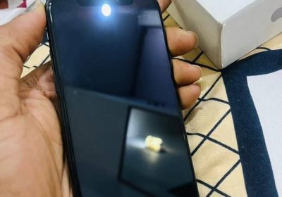 FB_IMG_1739190015493