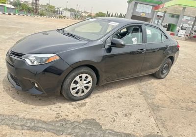 FB_IMG_1739439411873