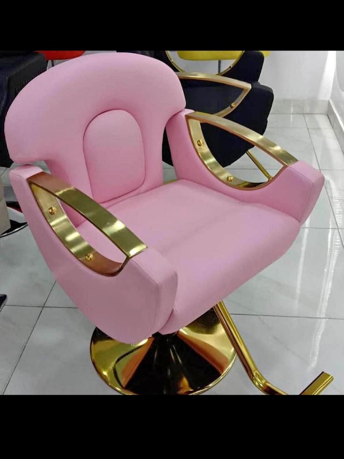 Quality Saloon Chair