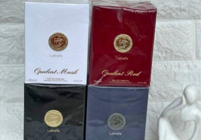 Screenshot_20250405-232704_1