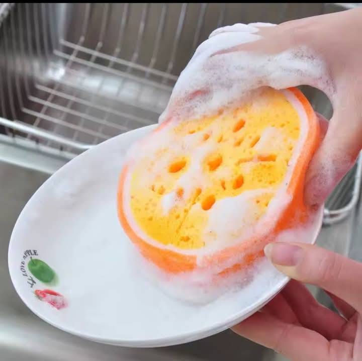 Fruit Thickened Dish Sponge 