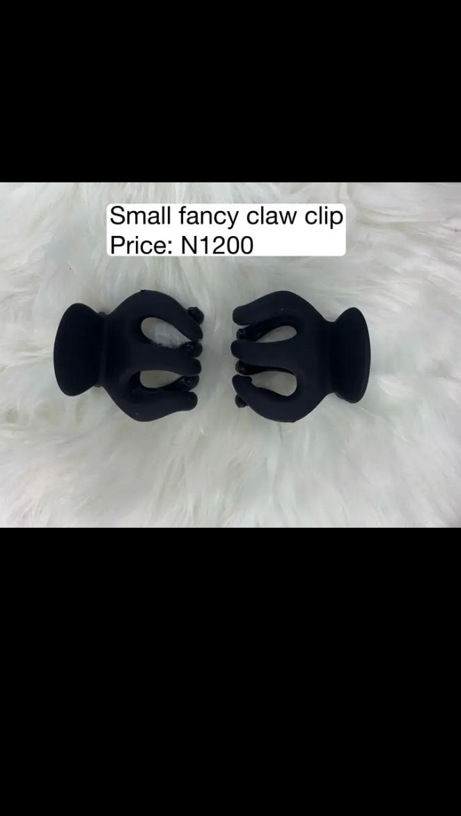Mini Claw Hair Clip