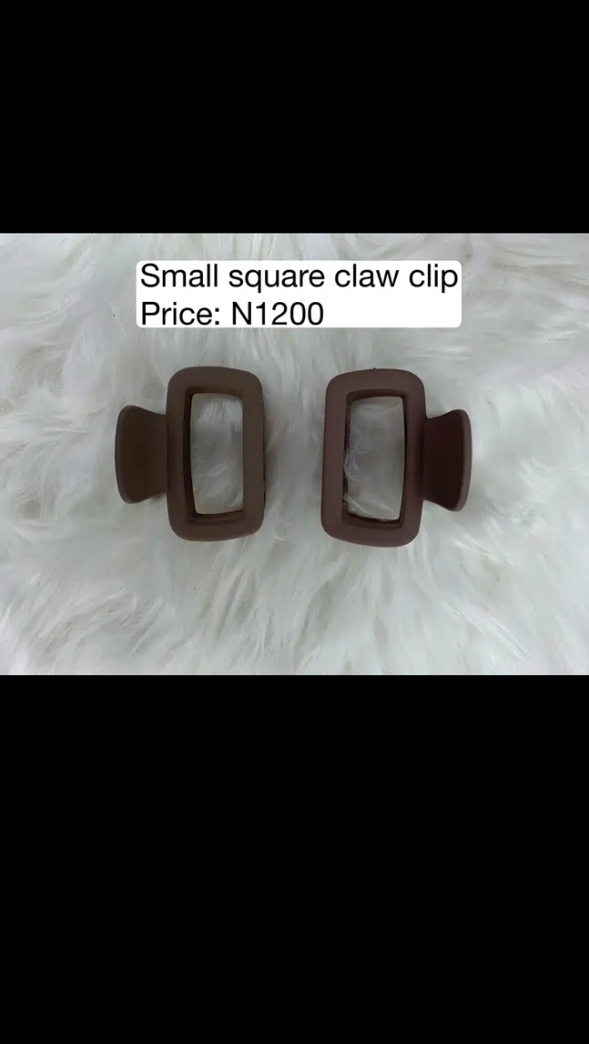 Mini Claw Hair Clip