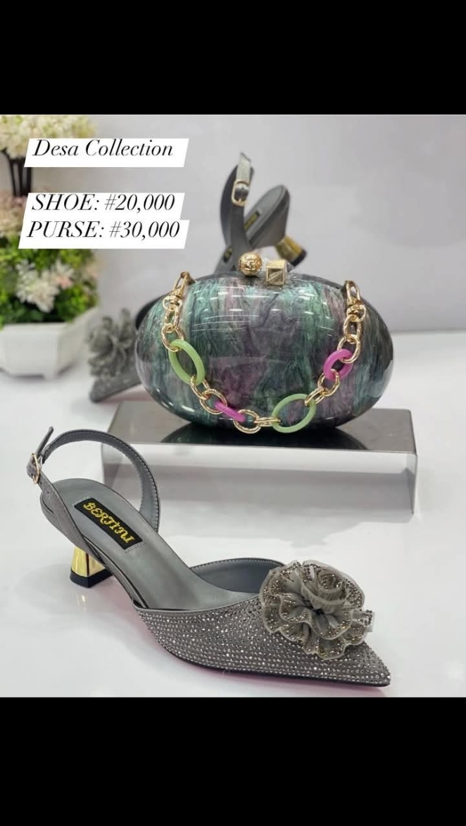 Luxury Shoe & Purse
