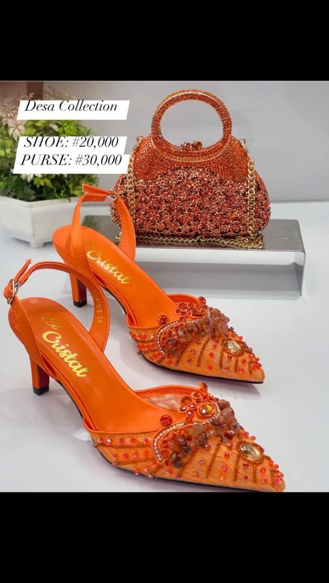 Luxury Shoe and Purse