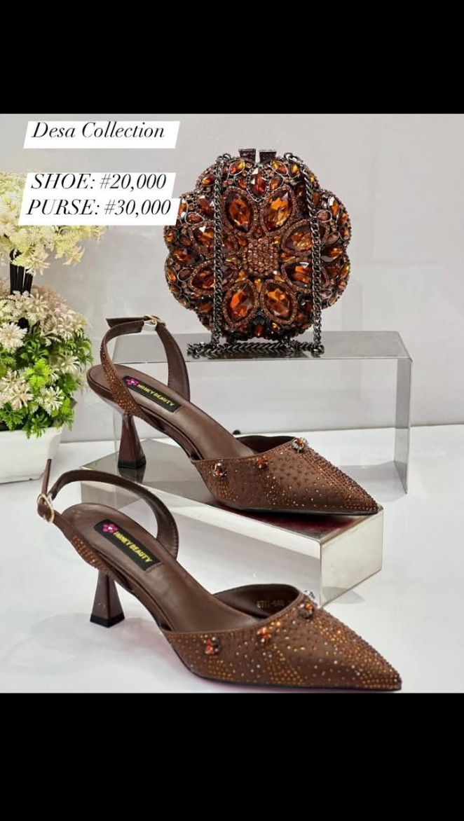Luxury Shoe & Purse