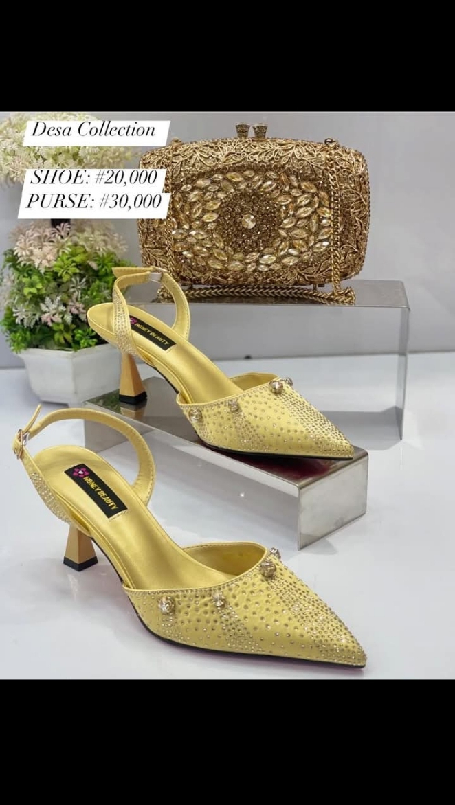 Luxury Shoe & Purse