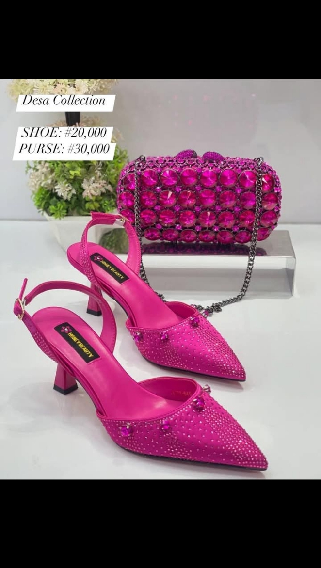 Luxury Shoe & Purse