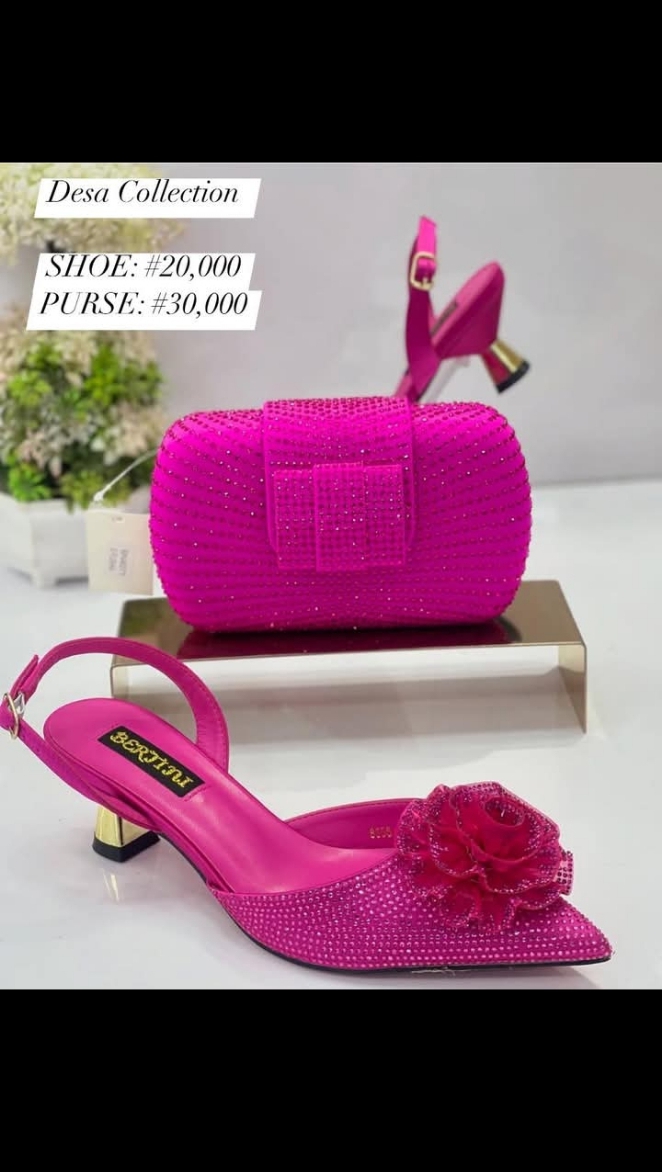 Luxury Shoe & Purse