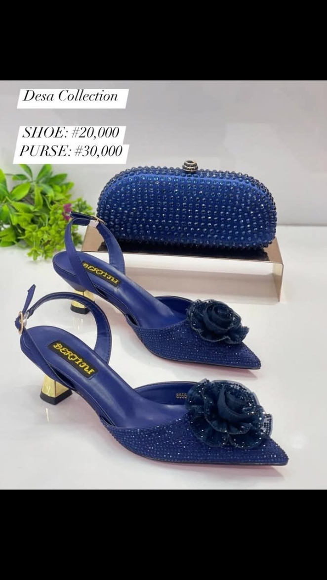 Luxury Shoe & Purse