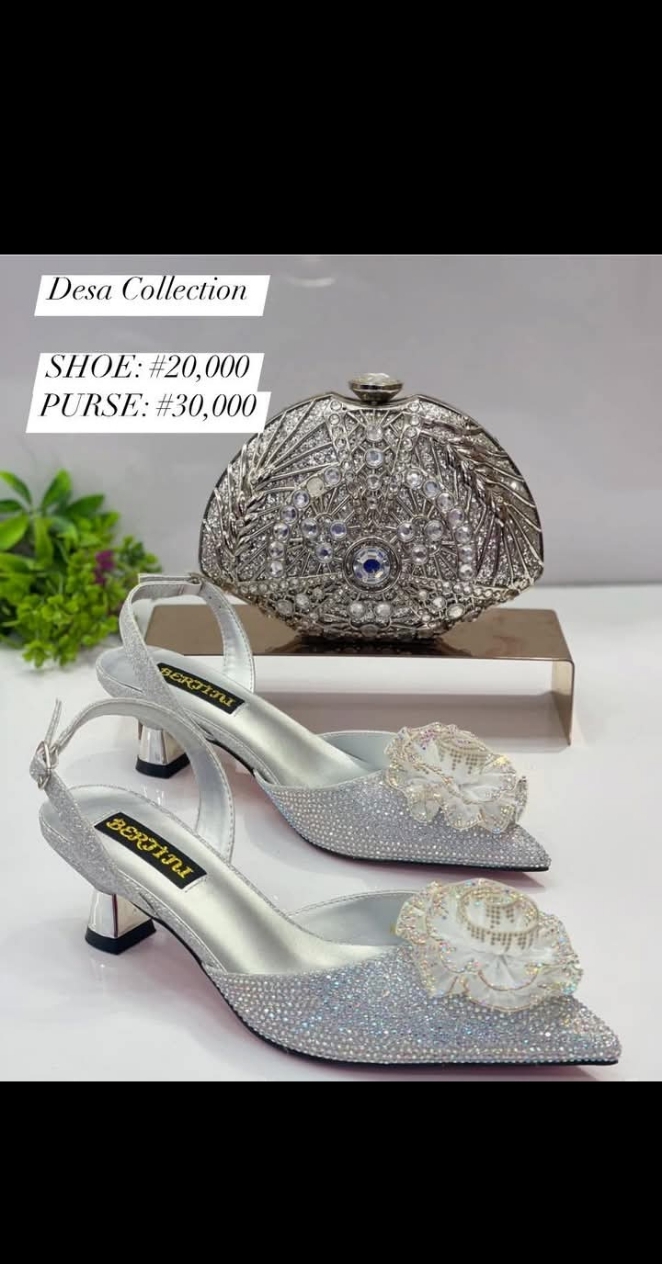 Quality Luxury Shoe & Purse