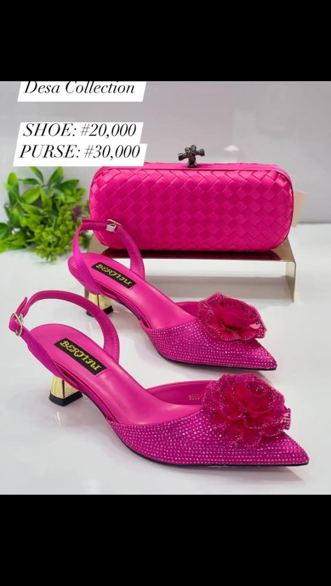 Luxury Shoe & Purse