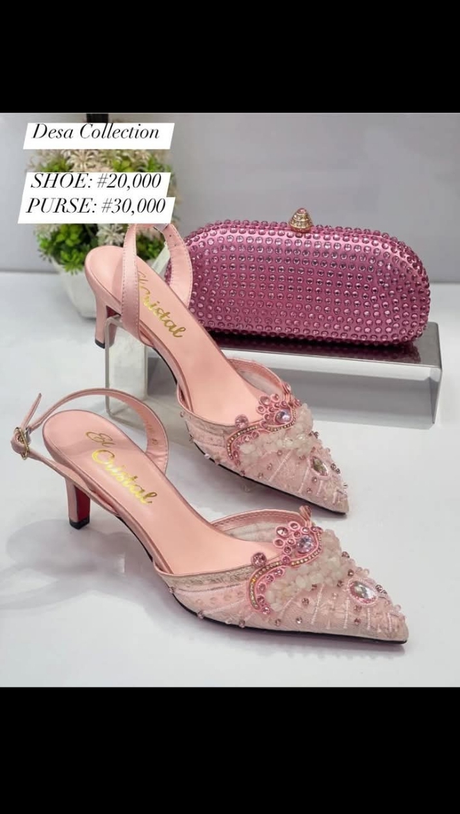 Quality Luxury Shoe & Purse