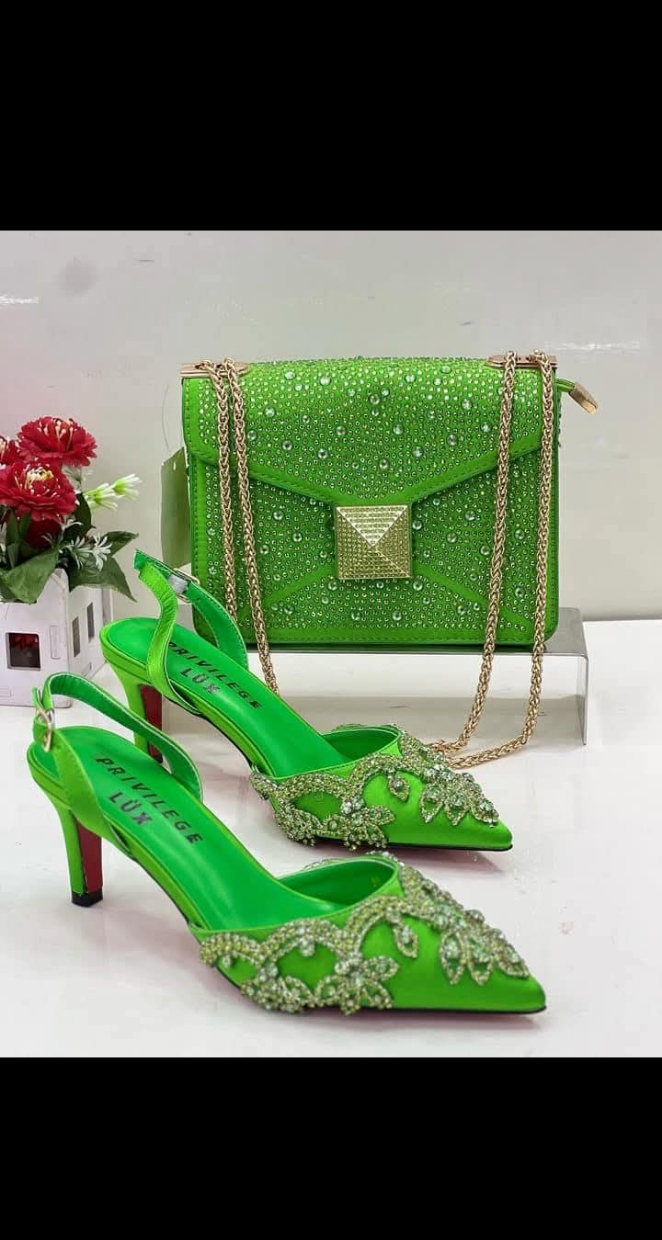 Quality Luxury Shoe & Purse