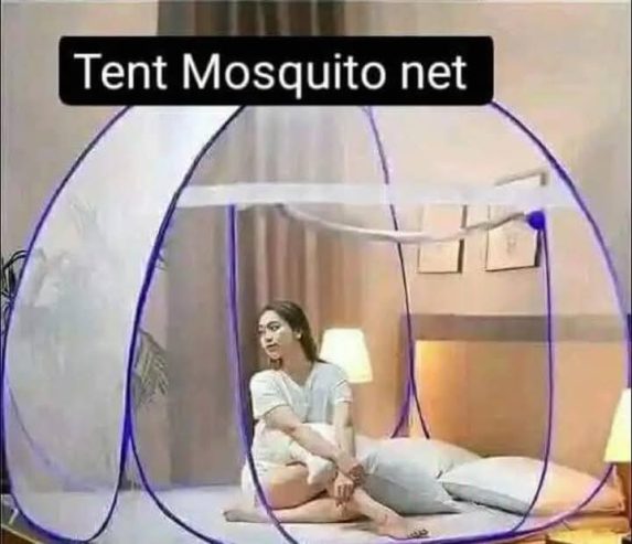 Tent Mosquito Net