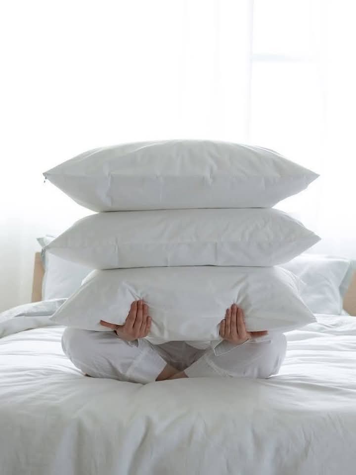 Quality Mercury Fiber Pillows